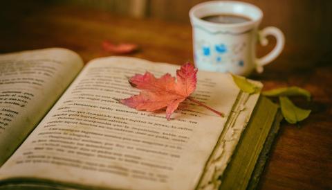 Llibre